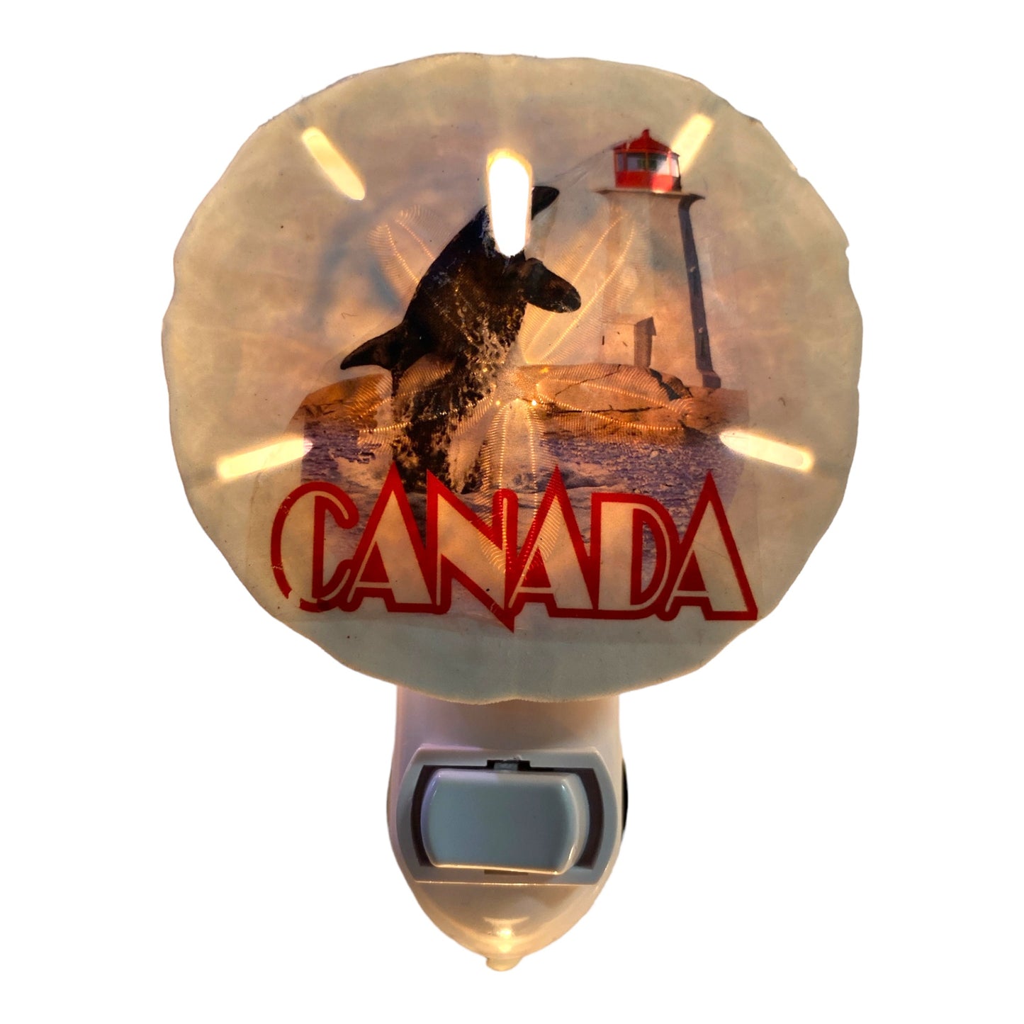 Sand Dollar Night Light with ORCA LIGHTHOUSE  CANADA Transfer - Made in Canada - NEW623