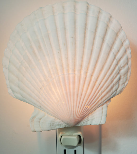 ENGLISH WHITE SCALLOP NIGHTLIGHT with Almond Fixture