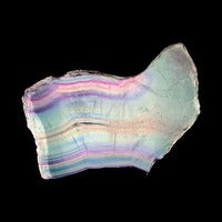 Fluorite - Polished Slab Slice - 5.5 x 4.5 inch - 338g