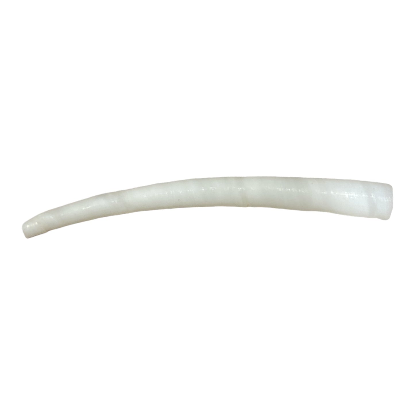 Dentallium Smooth Aprium 1.5 to 2 inch - White