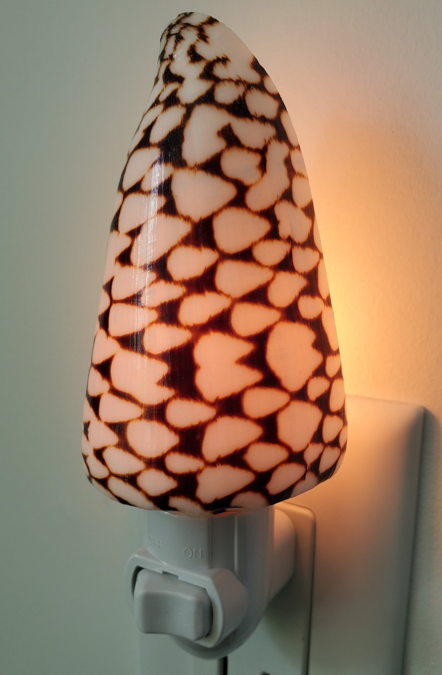 BLACK & WHITE CONUS MARMORCUS NIGHTLIGHT