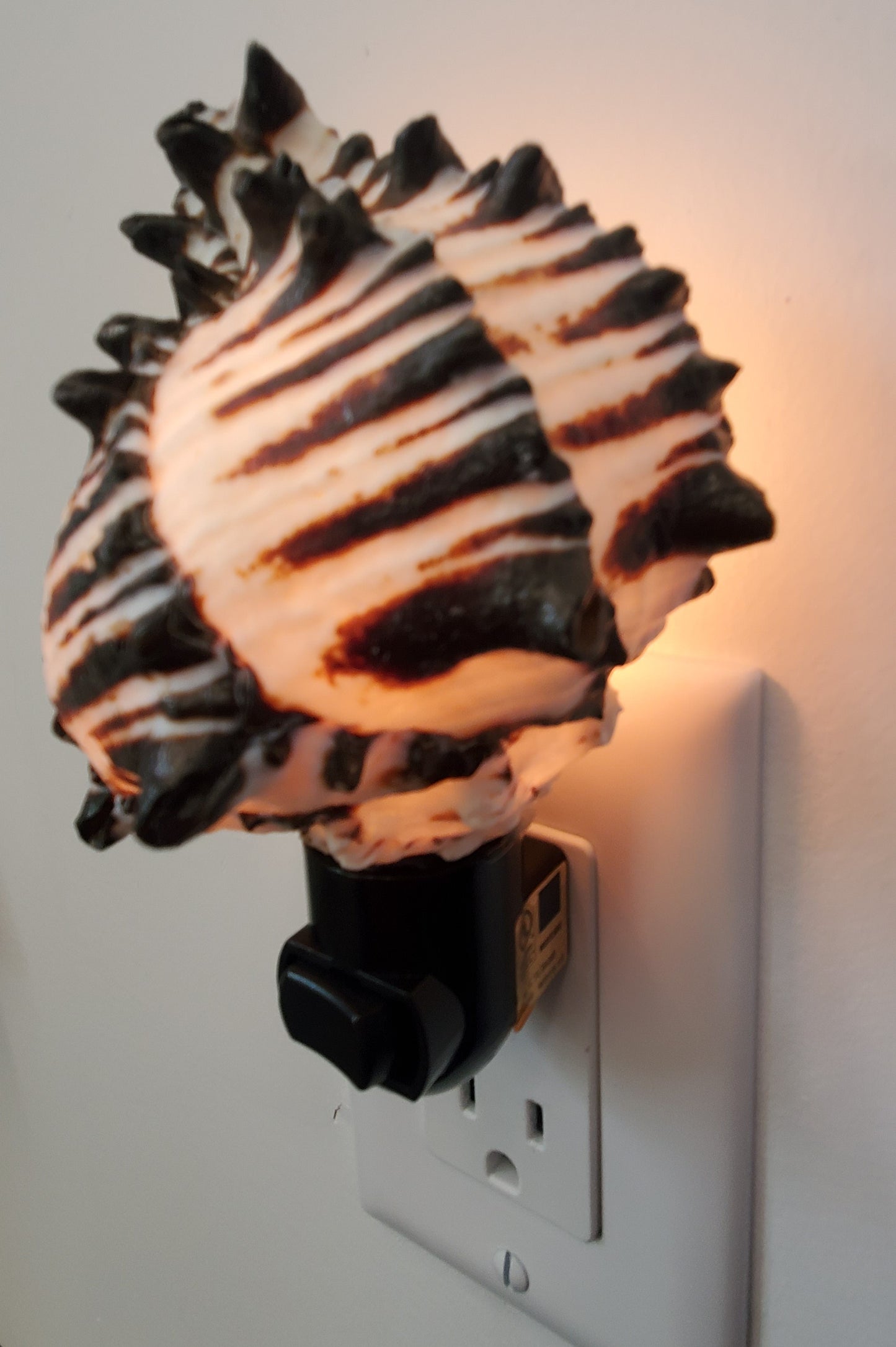 BLACK MUREX NIGHTLIGHT with Black Fixture