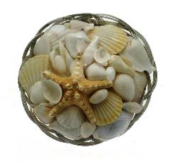 WHITE - BASKET PACK OF SHELLS - 6 inch - ROUND