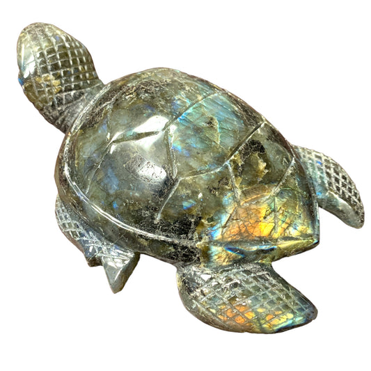 7" Sea Turtle - LABRADORITE - EXTRA LARGE - Hand Carved - NEW722