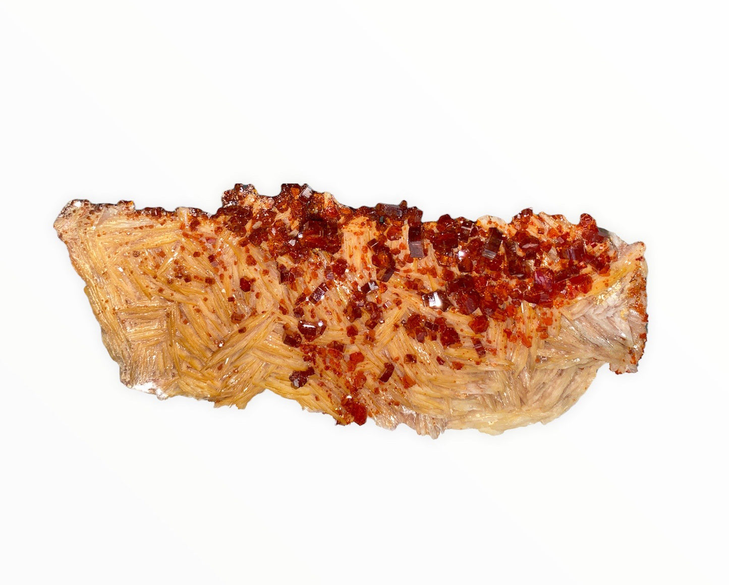 DEMANDE DE CRISTAL - Vanadinite SPECIMENS AAA - Large 12 - 17 cm - Maroc - Prix au gramme et par qualité (Notez le numéro d'identification et mettez les commentaires dans l'ordre) NEW822