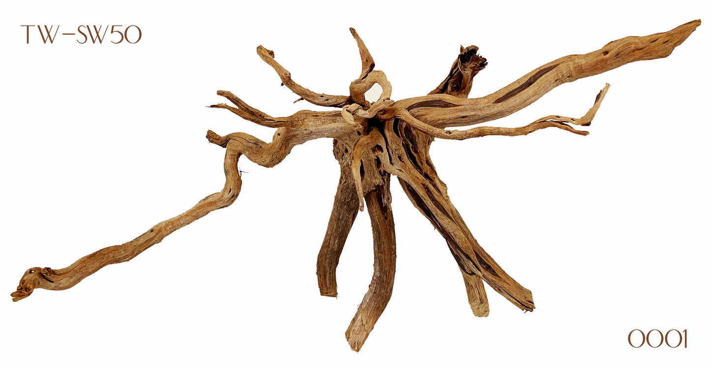 25 to 31 inch Spiderwood Driftwood - XL 65 to 70cm - NEW923