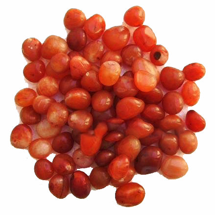 Red Carnelian A Grade Tumbled Stones - Medium 20 - 30 mm - 500 Gram (1.1 lb.) - India