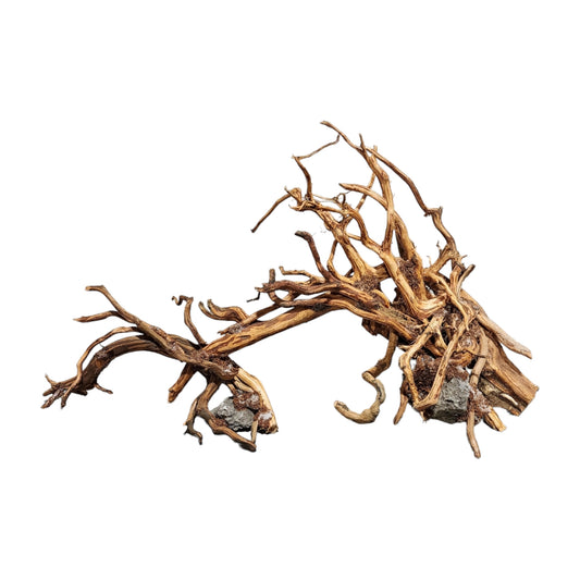 15.7 inch - Wave DRIFTWOOD - 40cm - Indonesia - NEW923 - #9F