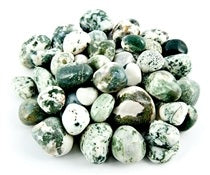 Tree Agate Tumbled Stones - Small 15 - 25 mm - 500 Gram (1.1 lb.) - India