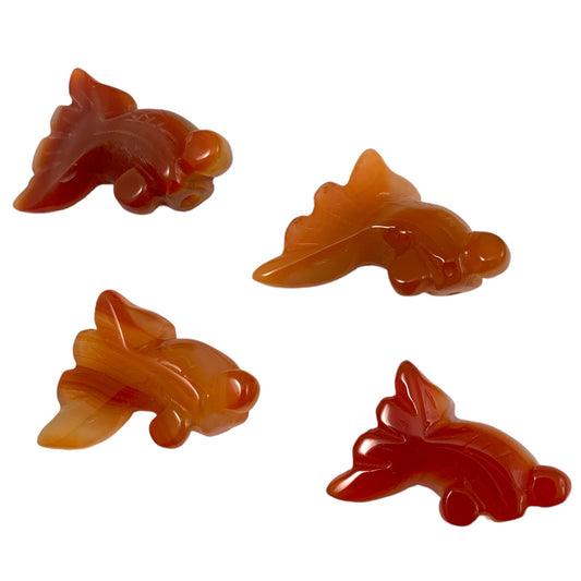 Gold Fish - Carnelian - Baby - 20mm - NEW722