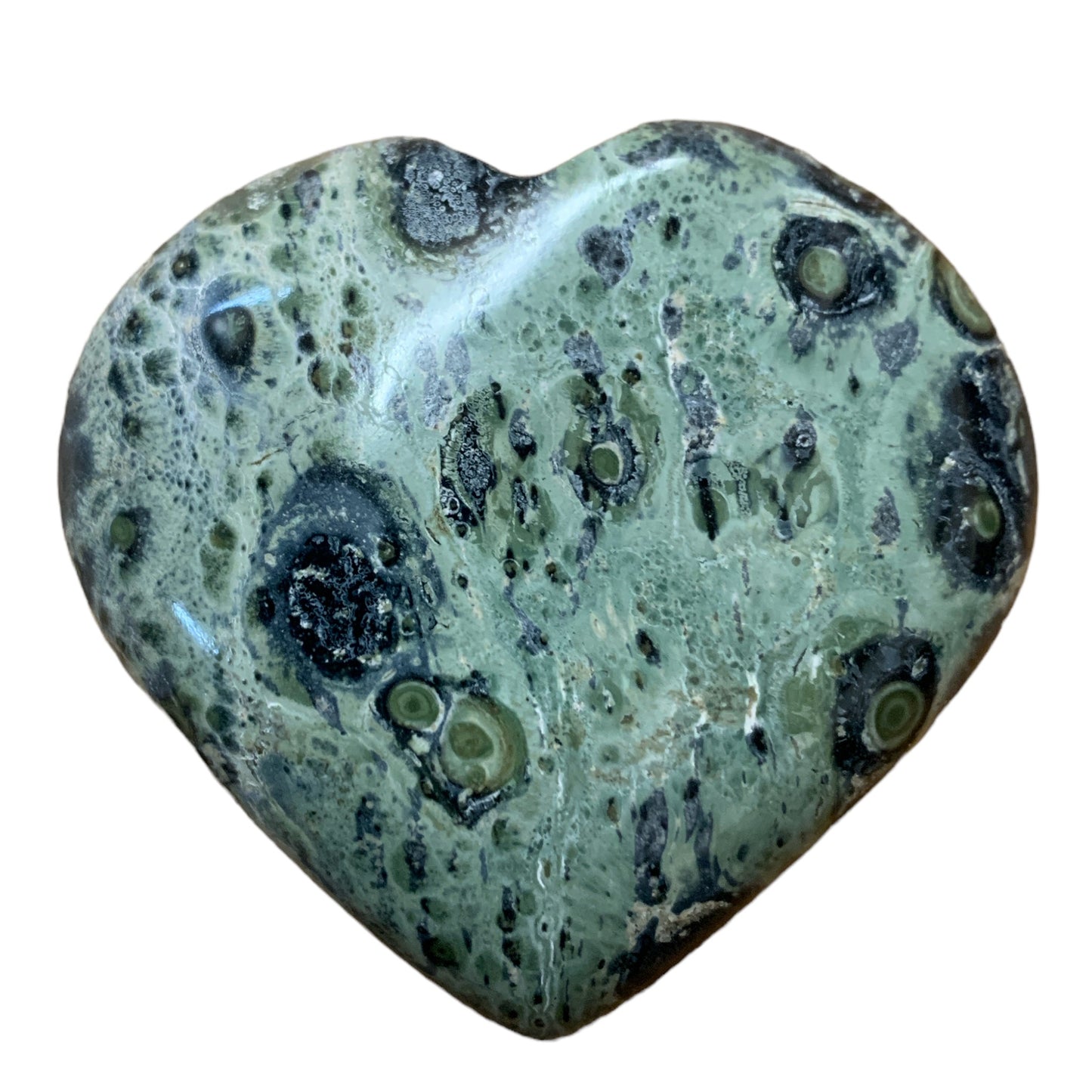 Pub Hearts - Kambaba Jasper - Medium 50-60mm - India - NEW1222