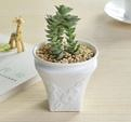 White Plant Pot Rounded Flower Design Size: 8.5 x 4.2 x 9 cm