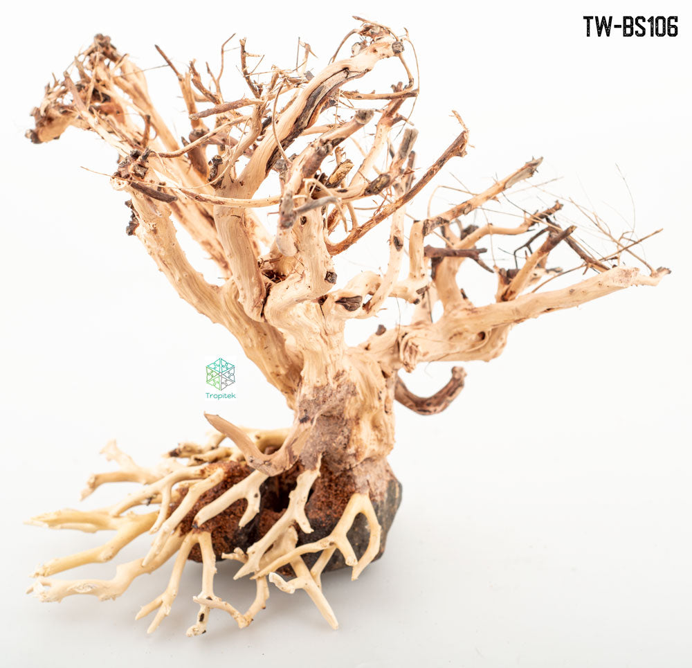 BONSAI DRIFTWOOD 25x30x30 cm - ARTOCARPUS HETEROPHYLLUS