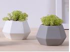 Plant Pot Hexagon Column WHITE Size: 7 x 10 x 6.5 cm