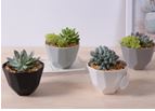 Plant Pot Geometric GREEN Size: 12.5 x 6 x 8.5 cm