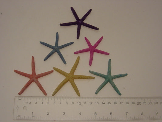 Assorted Pastel Starfish - Linckia Laevigata - 5 - 6 Inches