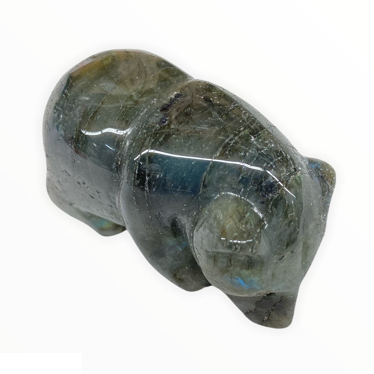 Bear - Labradorite - 5 cm - China - NEW921