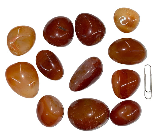 Red Carnelian Tumbled Stones - Medium 20 - 30 mm - 1 lb. - China