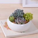 White Plant Pot Round Dish Size: 13.2 x 15.6 x 6.1 cm