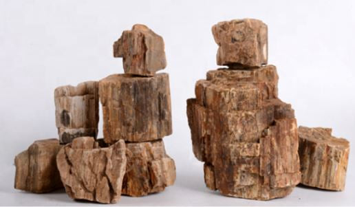 Petrified Wood Stone 15LB