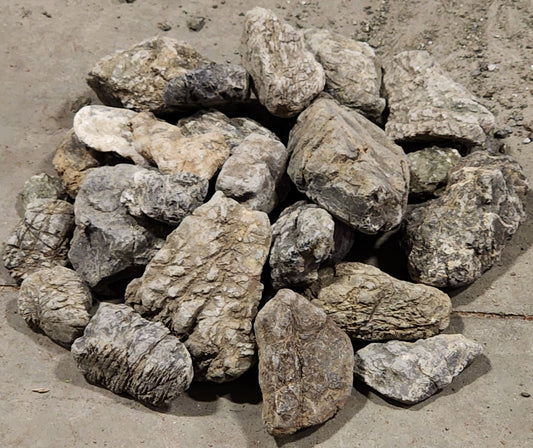 PAGODA STONE Rock - 10 to 15 cm - per lb. (Order in in multiples of 50) - NEW1023