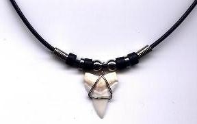 Mako Shark Tooth  Wired  On Black Cord