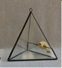 Grand Terrarium Triangle en Verre 15 x 13 x 16 cm