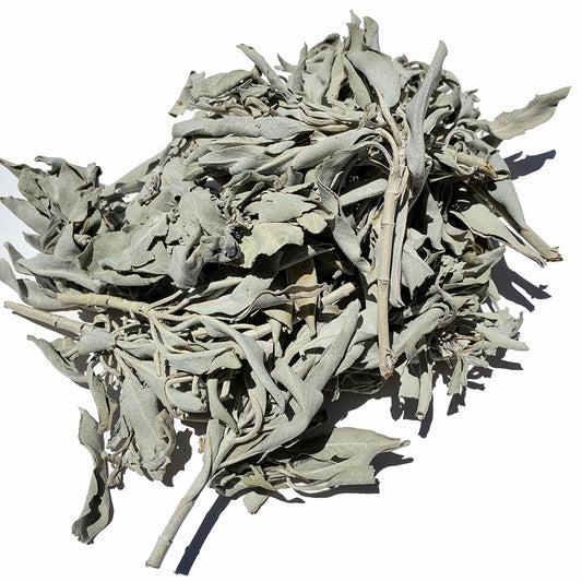 WHITE Buffalo SAGE CLUSTERS - 5 oz. BAG with Header Smudge Supplies