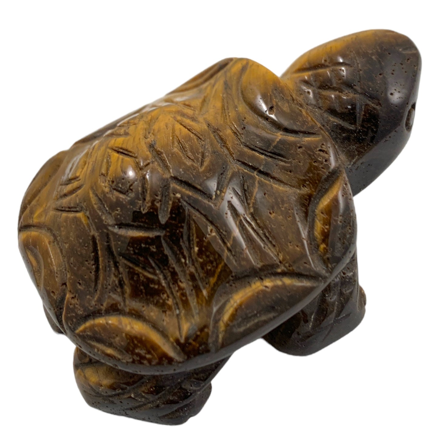 Small Tortoise - Tigers Eye - Hand Carved - NEW622