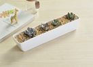 White Plant Pot Long Rectangle Size: 28 x 6 x 5.1 cm