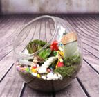 Blown Glass Bevel Connection Bottle Terrarium 12 cm