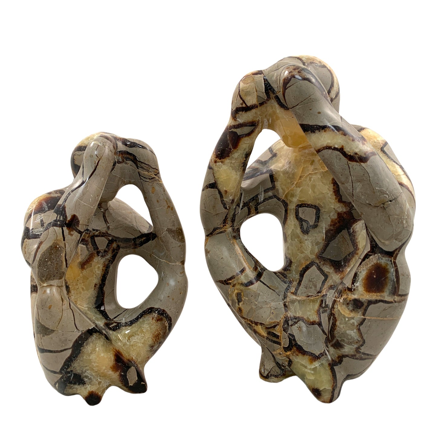 Septarian Thinking Human - Petit - Prix unitaire - NEW622