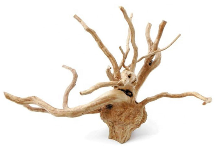 1 lb. SPIDERWOOD DRIFTWOOD 25 to 36 cm - 10 to 14 inch - Assorted shapes and sizes