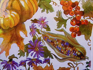 CELLO WRAP -  AUTUMN BOUNTY - 24 x 100 roll