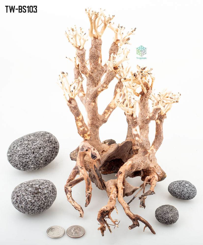 BONSAI DRIFTWOOD 25x30x30 cm - ARTOCARPUS HETEROPHYLLUS