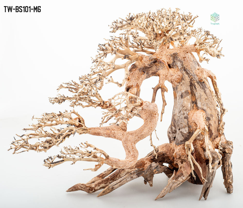 BONSAI DRIFTWOOD 35x45x26 cm - ARTOCARPUS HETEROPHYLLUS