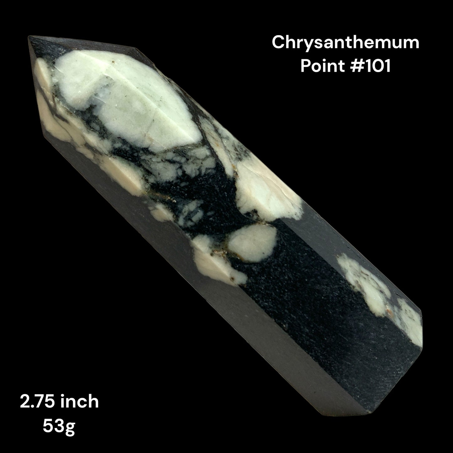 Chrysanthemum - 2.75 inch - 53g - Polished Points