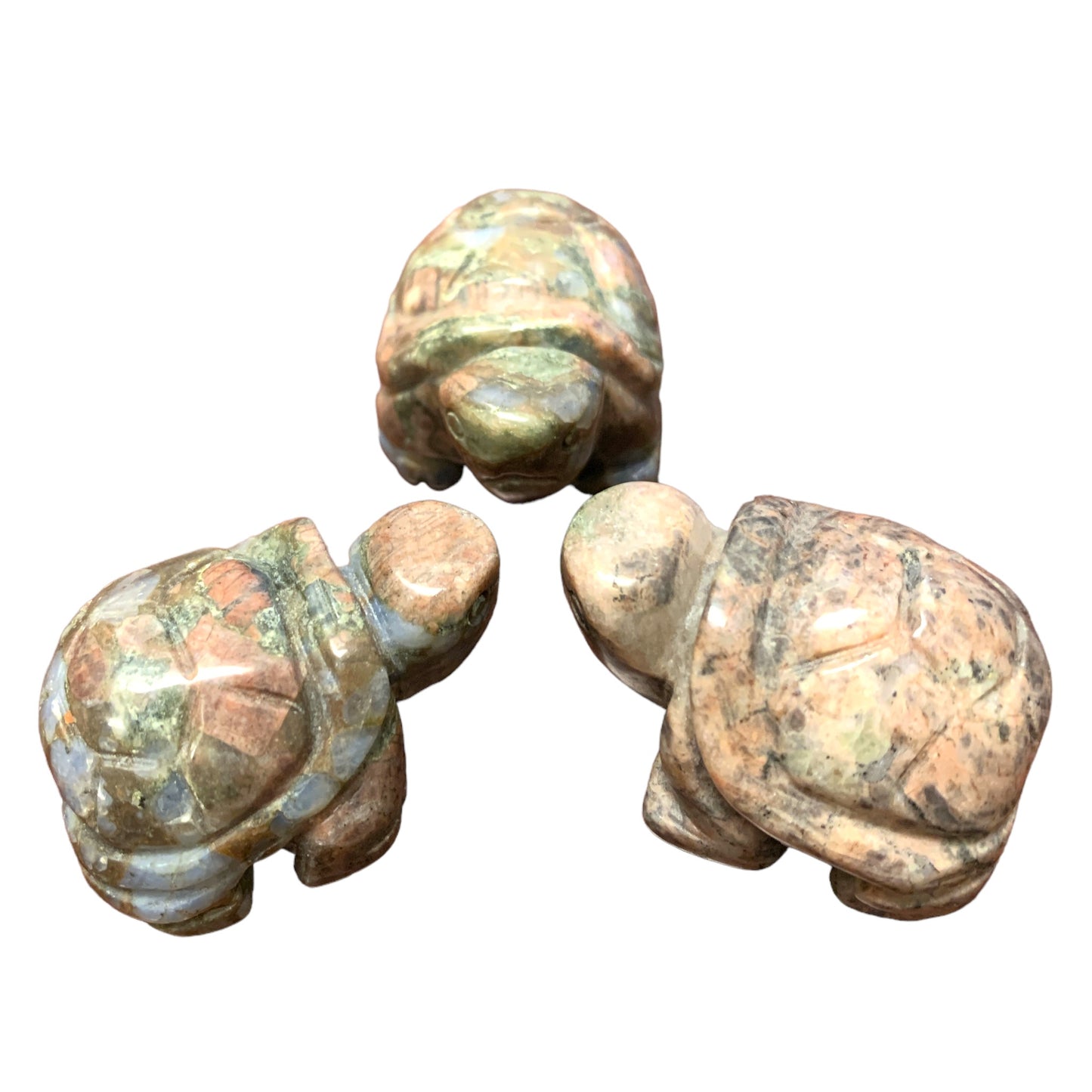 X-Small Tortoise - RHYOLITE - LLANITE - QUE SERA - Hand Carved - NEW622