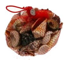 BAG-O-SHELLS - 1 KILO - SAC FILET