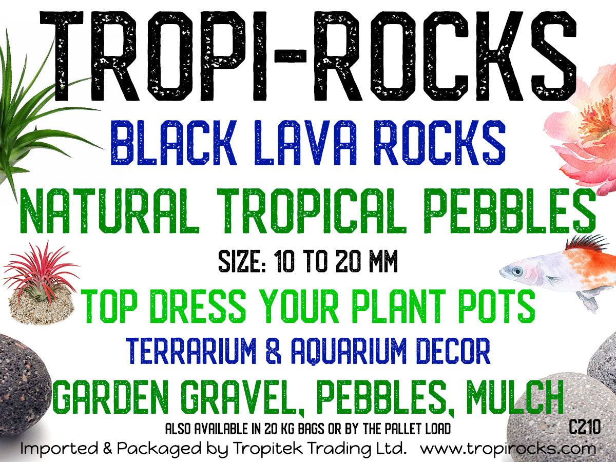 Black Lava Pebble 10 to 20 mm - Medium PB2 JAR