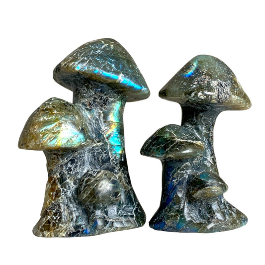 Labradorite Triple Mushroom - Large 50 mm - Price Each - China - NEW722