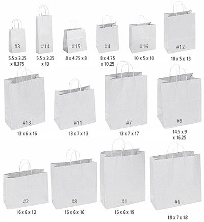 White Kraft Paper - Petite Shopping Bags - 8 x 4 3/4 x 10 1/4 inch W x D x H (250)