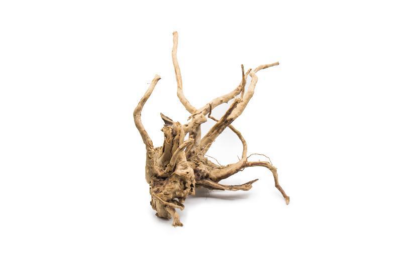 7 to 11.9 inch Spiderwood Driftwood - SMALL 20 to 30cm - NEW923