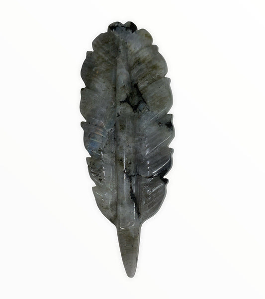 FEATHER Carving - Labradorite - 4 - 5 inch - China - NEW622