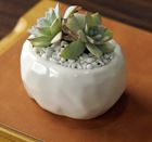 White Plant Pot Dimpled Boulder Size: 7.5 x 6 x 4 cm