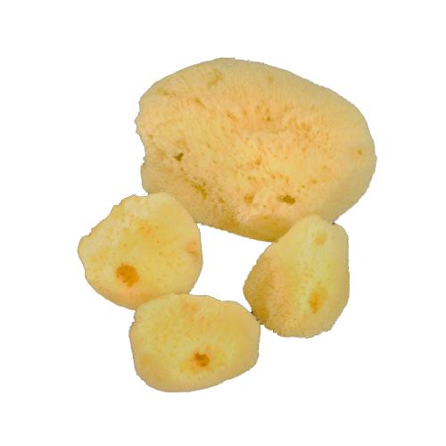 Natural Sea Sponges 3 inch