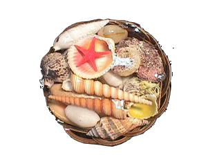 PAQUET PANIER DE COQUILLES - 4 pouces - ROND