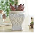 White Plant Pot flower design Size: 7 x 5.5 x 8.5 cm