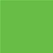 Citrus Green WAXED TISSUE PAPER 18 x 24 - PK/400