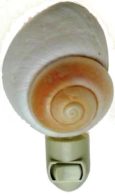 WHITE SNAIL CUT FOR N/L